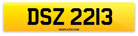 DSZ 2213