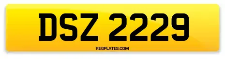 DSZ 2229