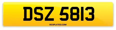DSZ 5813