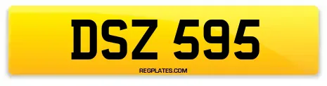 DSZ 595