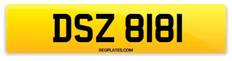 DSZ 8181