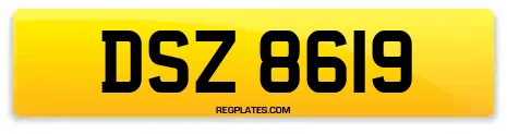 DSZ 8619