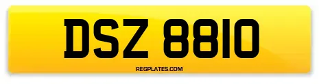 DSZ 8810