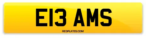 E13 AMS