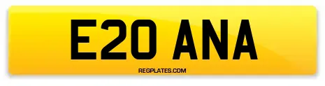 E20 ANA