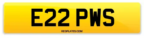 E22 PWS
