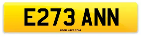 E273 ANN