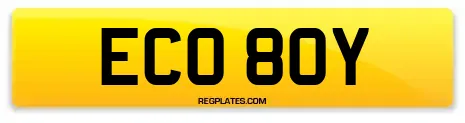 ECO 80Y