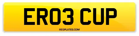 ER03 CUP