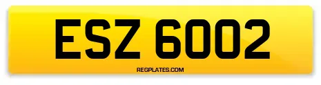 ESZ 6002