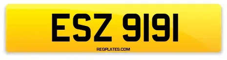 ESZ 9191