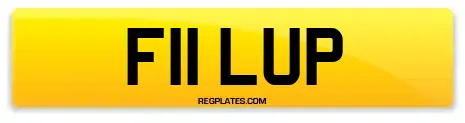 F11 LUP