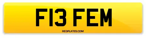 F13 FEM
