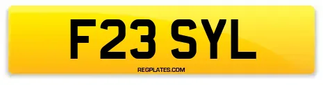 F23 SYL