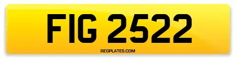FIG 2522
