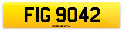 FIG 9042