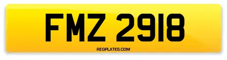 FMZ 2918