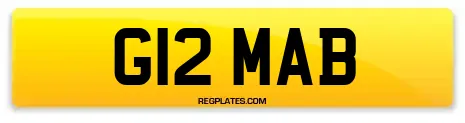 G12 MAB