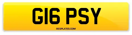 G16 PSY