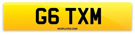 G6 TXM