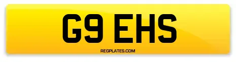 G9 EHS