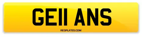 GE11 ANS