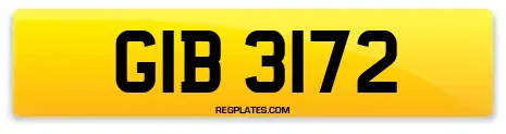 GIB 3172