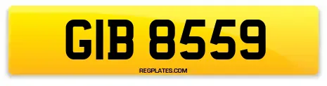 GIB 8559