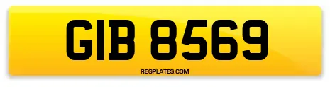 GIB 8569