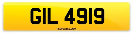 GIL 4919