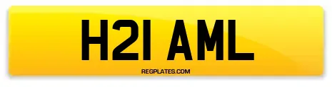 H21 AML