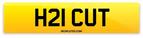 H21 CUT