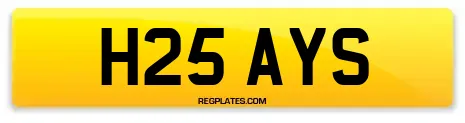 H25 AYS