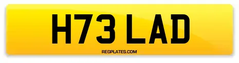 H73 LAD