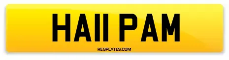 HA11 PAM
