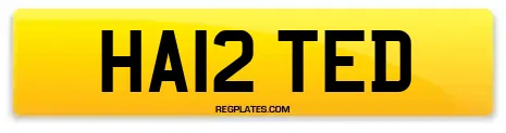 HA12 TED