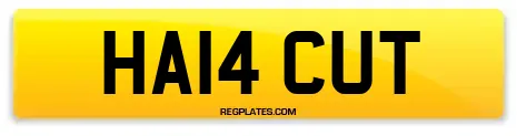 HA14 CUT