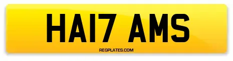 HA17 AMS