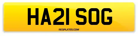 HA21 SOG