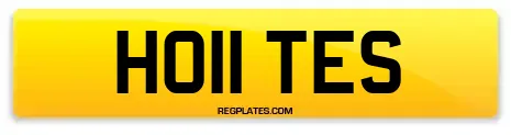 HO11 TES