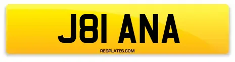J81 ANA