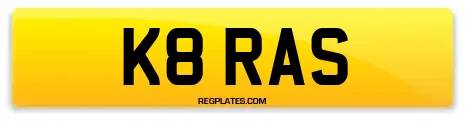 K8 RAS