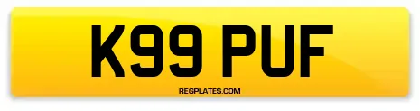 K99 PUF