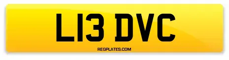 L13 DVC