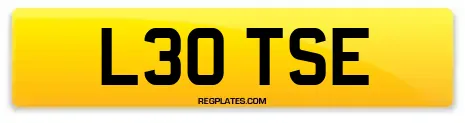 L30 TSE
