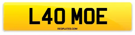 L40 MOE