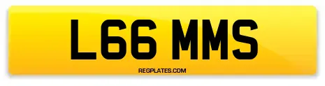 L66 MMS