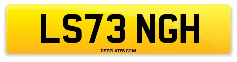 LS73 NGH