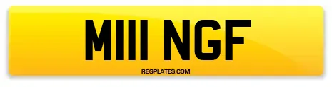 M111 NGF