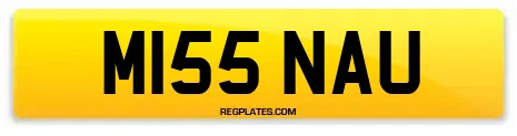 M155 NAU